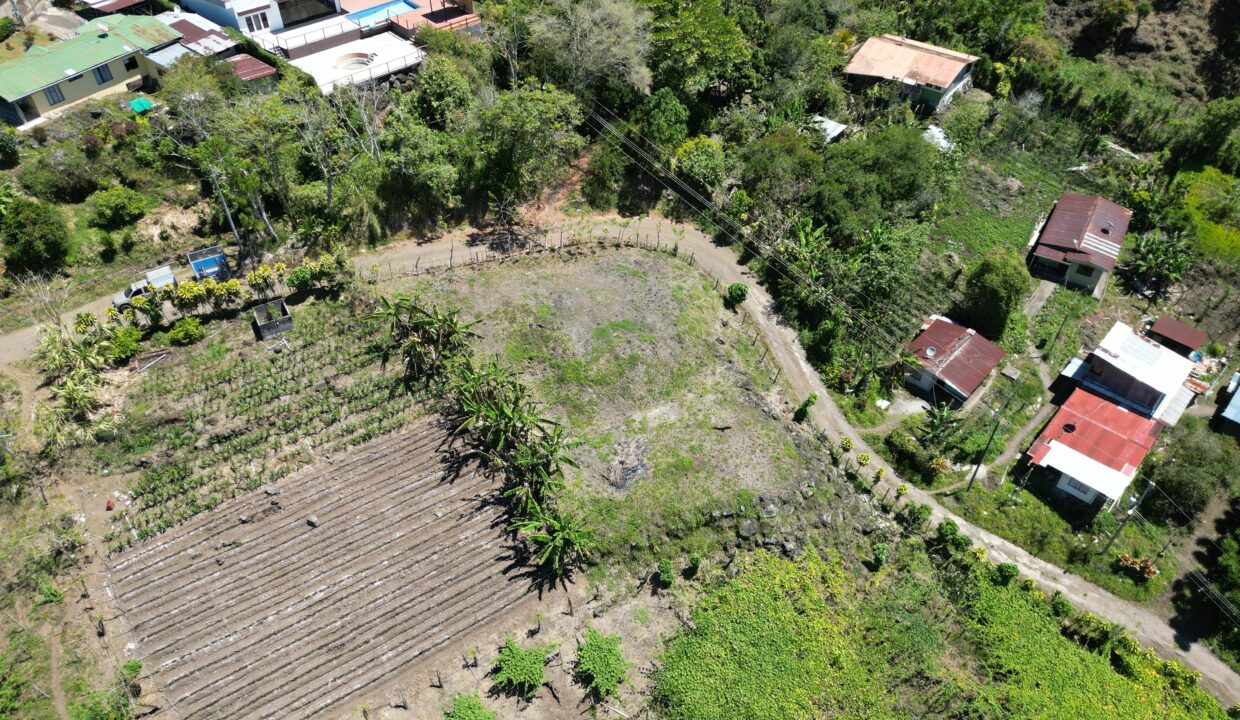 WhatsApp Image 2026-03-13 at 14.00.31 (3)