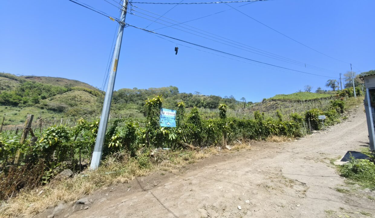 WhatsApp Image 2026-03-13 at 14.02.56