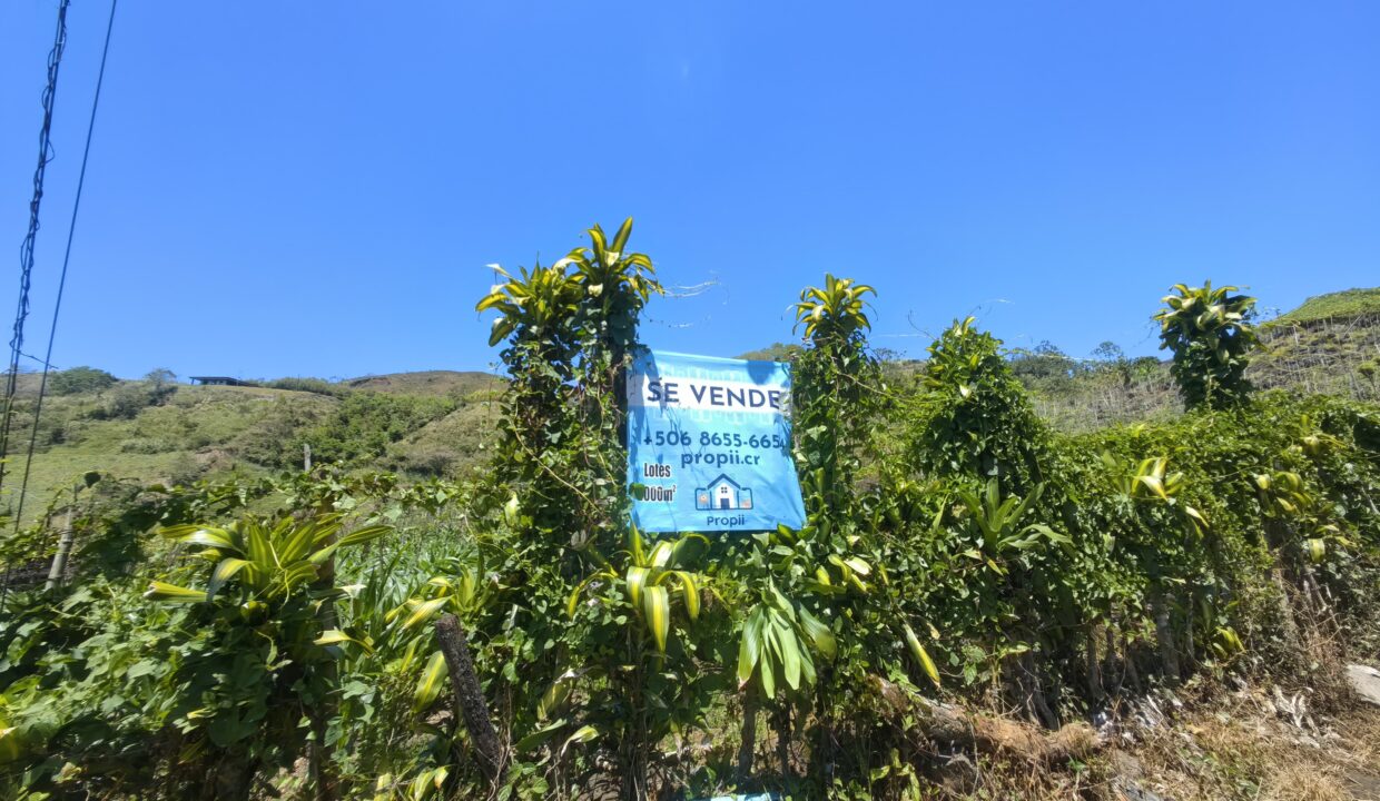 WhatsApp Image 2026-03-13 at 14.03.02