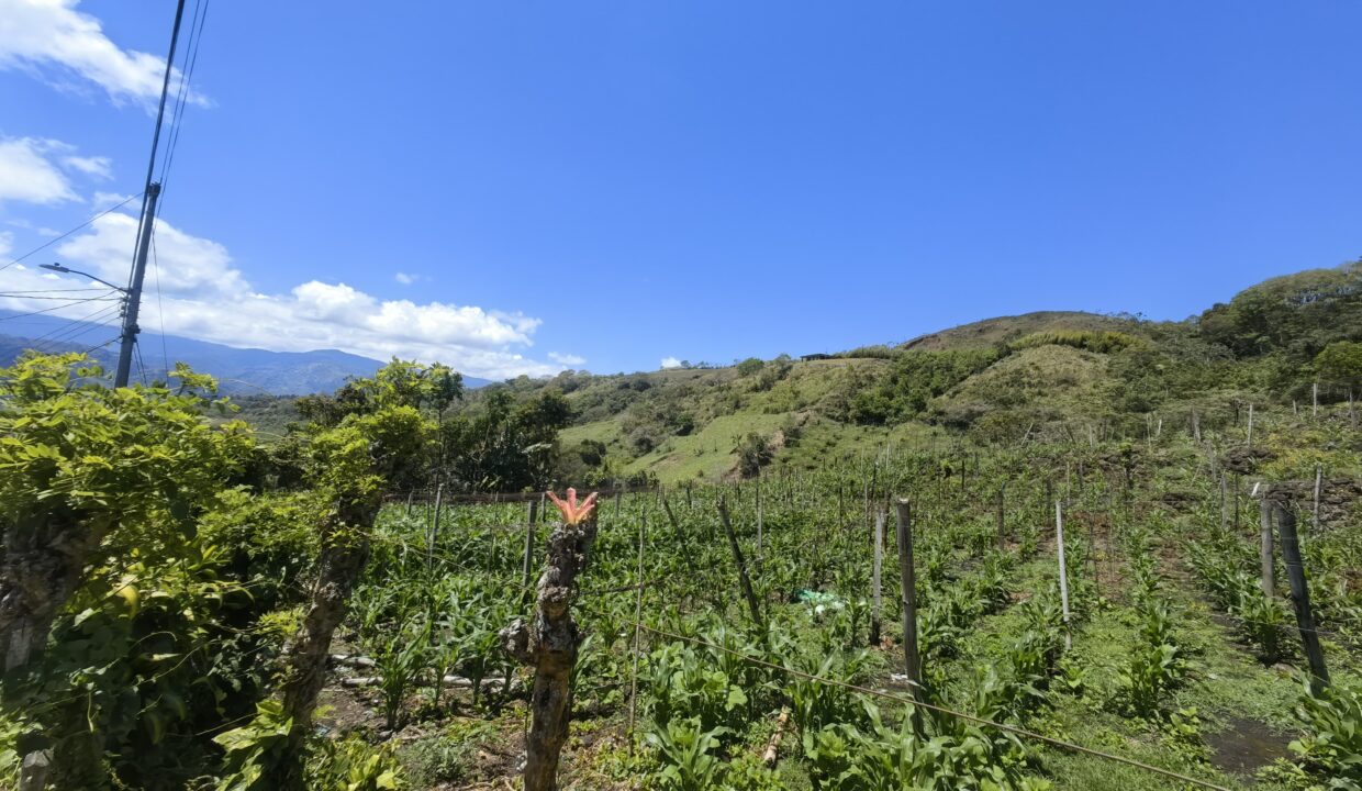 WhatsApp Image 2026-03-13 at 14.03.45