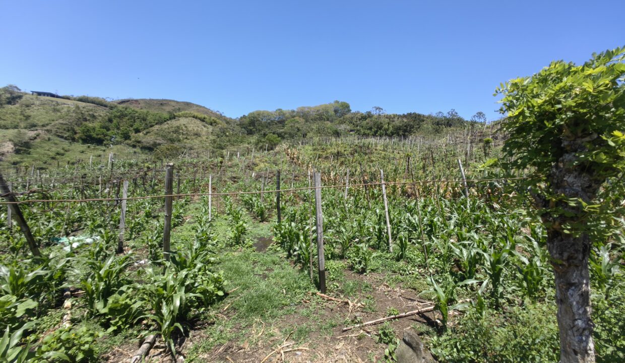 WhatsApp Image 2026-03-13 at 14.03.51