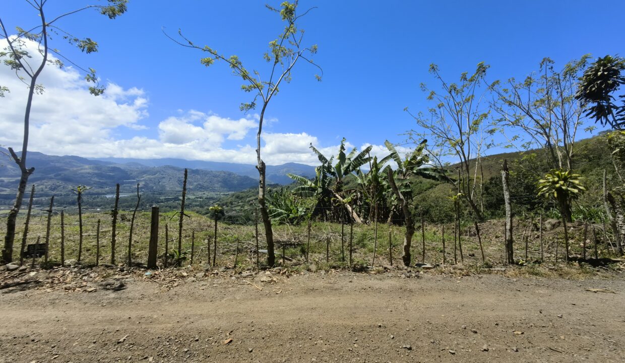 WhatsApp Image 2026-03-13 at 14.05.08