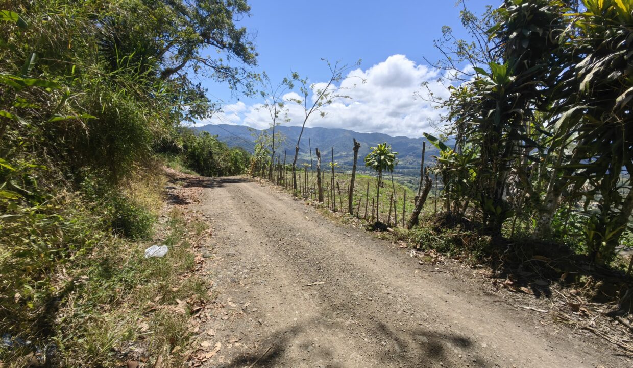 WhatsApp Image 2026-03-13 at 14.05.48