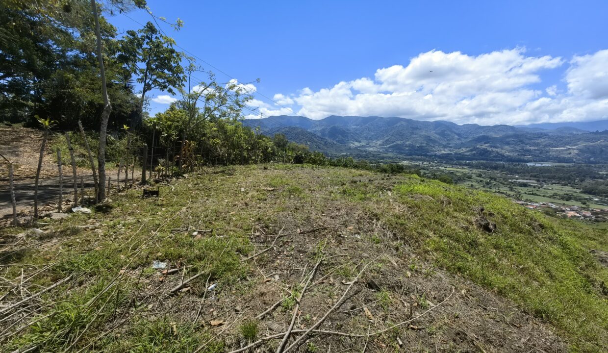 WhatsApp Image 2026-03-13 at 14.06.10 (1)