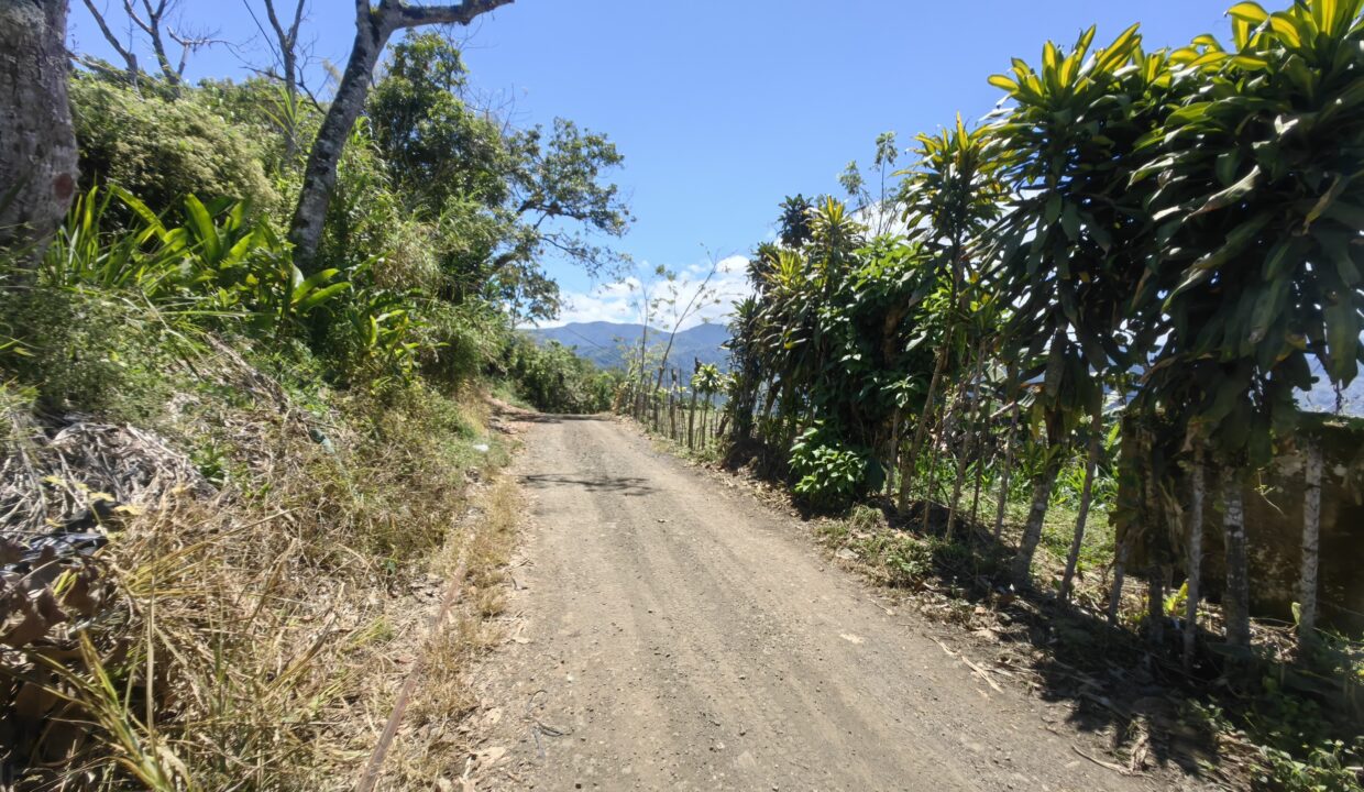 WhatsApp Image 2026-03-13 at 14.06.10