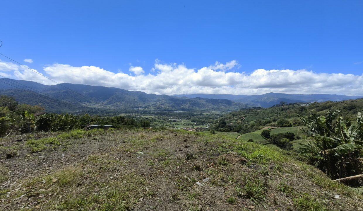 WhatsApp Image 2026-03-13 at 14.06.23