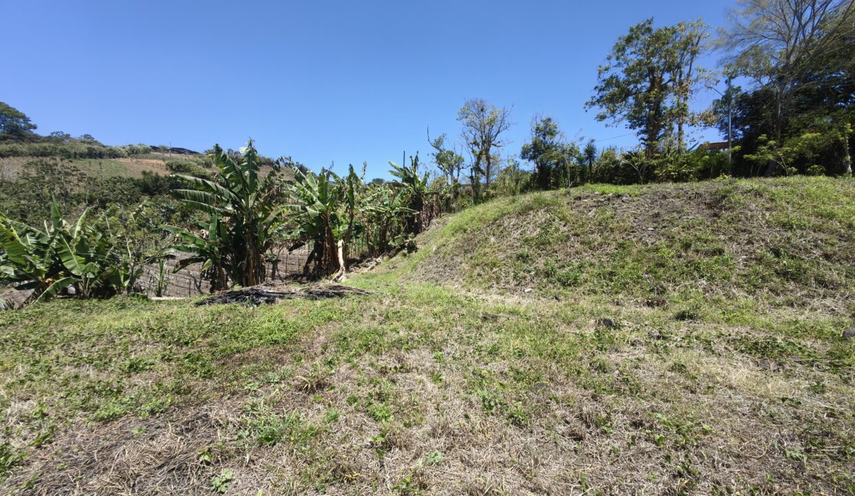 WhatsApp Image 2026-03-13 at 14.07.09