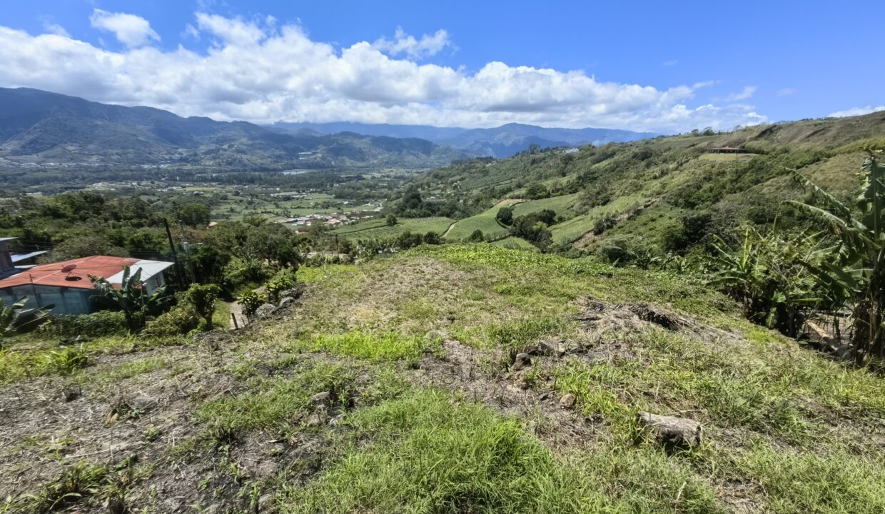 WhatsApp Image 2026-03-13 at 14.07.21 (1)