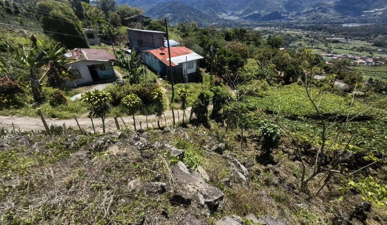 WhatsApp Image 2026-03-13 at 14.07.21