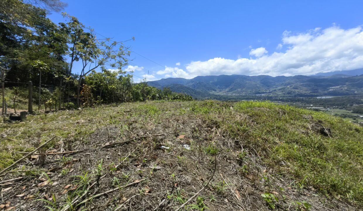 WhatsApp Image 2026-03-13 at 14.07.22 (1)