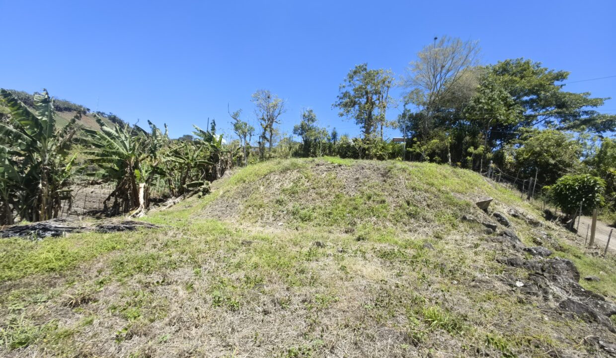 WhatsApp Image 2026-03-13 at 14.07.22