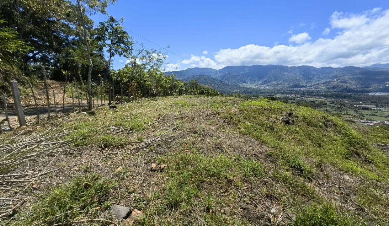 WhatsApp Image 2026-03-13 at 14.07.26