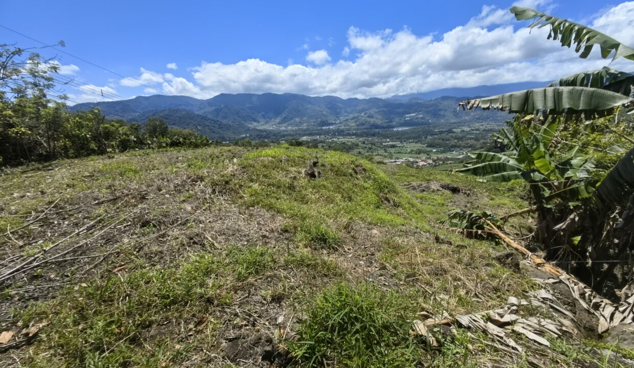 WhatsApp Image 2026-03-13 at 14.07.27