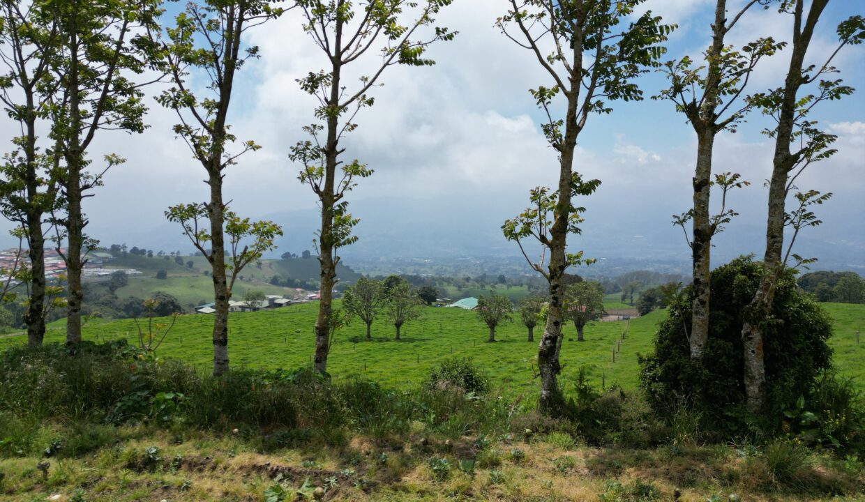 WhatsApp Image 2026-03-21 at 09.48.21 (2)