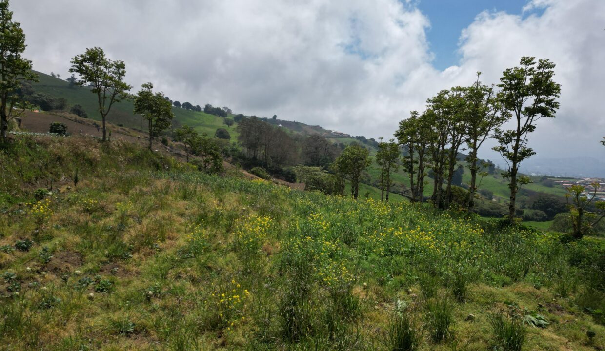 WhatsApp Image 2026-03-21 at 09.48.21 (3)