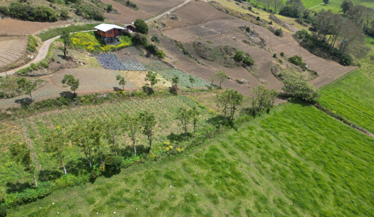 WhatsApp Image 2026-03-21 at 09.48.22 (2)