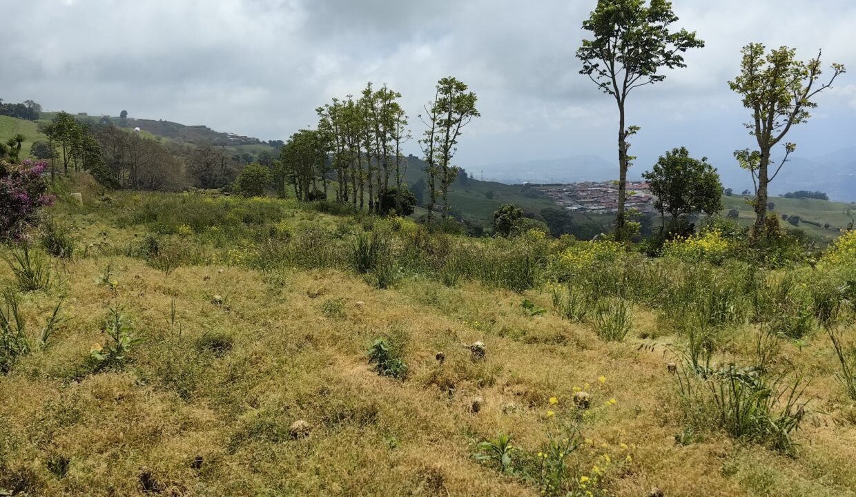 WhatsApp Image 2026-03-21 at 10.26.43 (1)