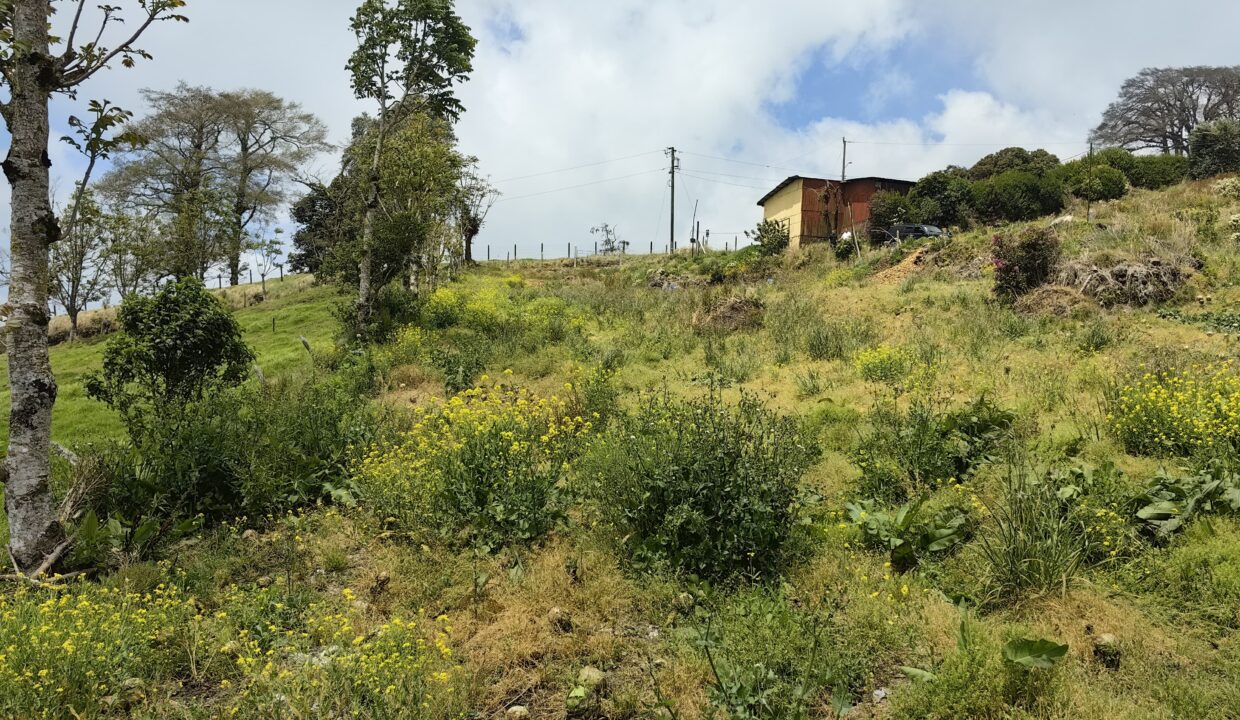 WhatsApp Image 2026-03-21 at 10.26.43