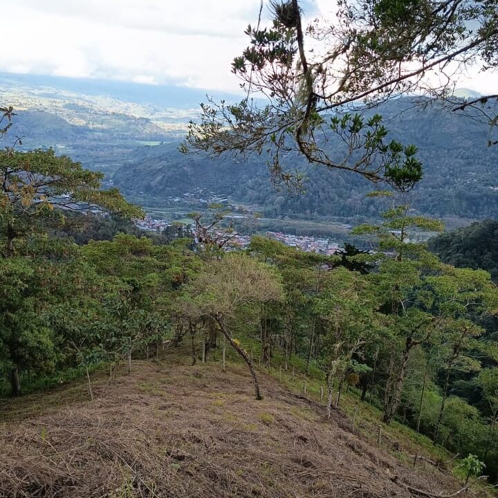 WhatsApp Image 2026-03-26 at 12.48.34