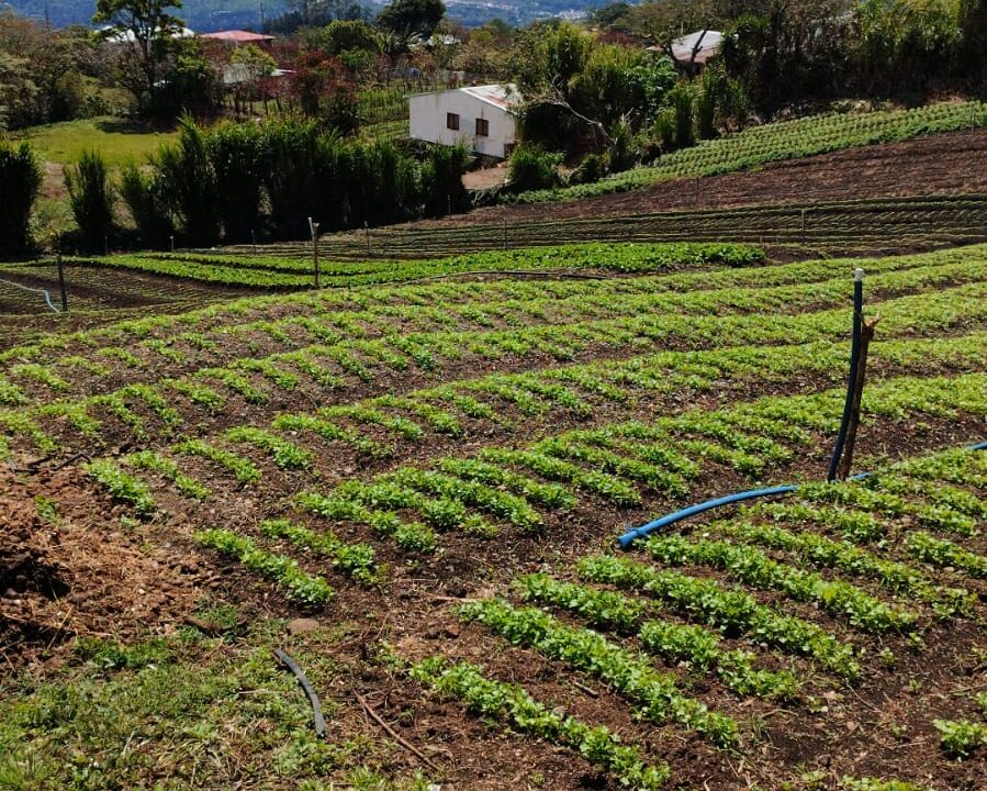 Quinta La Plaza Birrisito 2024-10-27 at 15.01.23 (1)