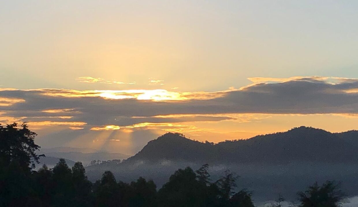 WhatsApp Image 2026-03-28 at 18.46.22 (4)