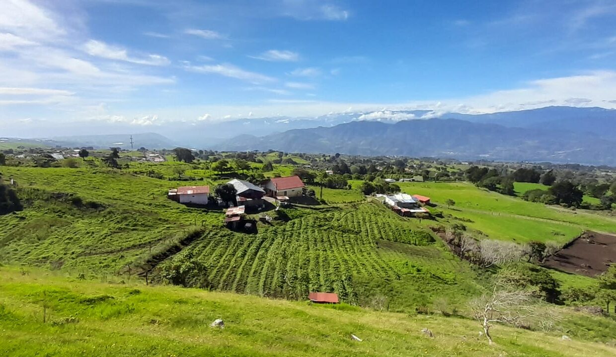 WhatsApp Image 2026-04-16 at 17.29.48