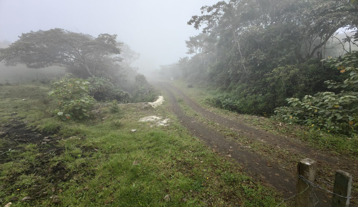 WhatsApp Image 2026-04-16 at 17.30.01