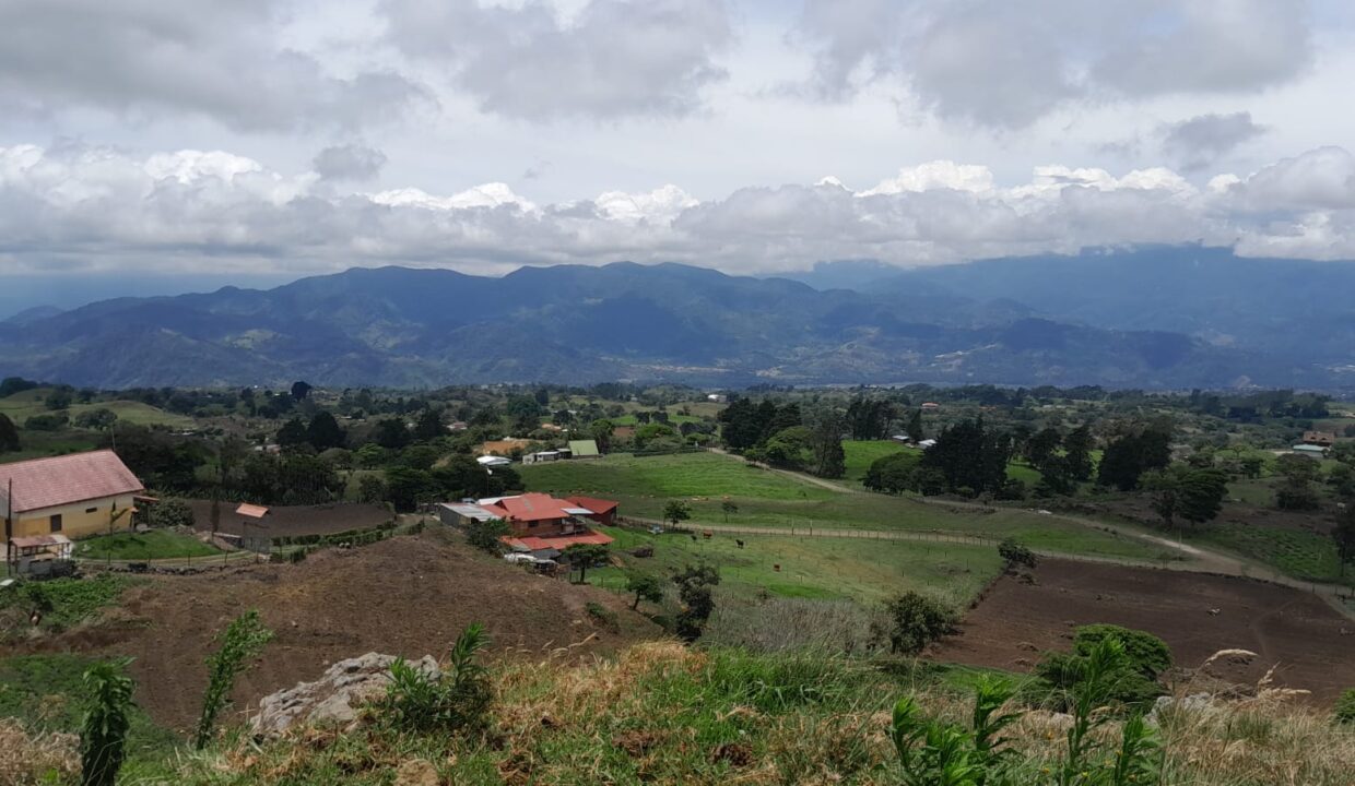 WhatsApp Image 2026-04-16 at 17.30.02