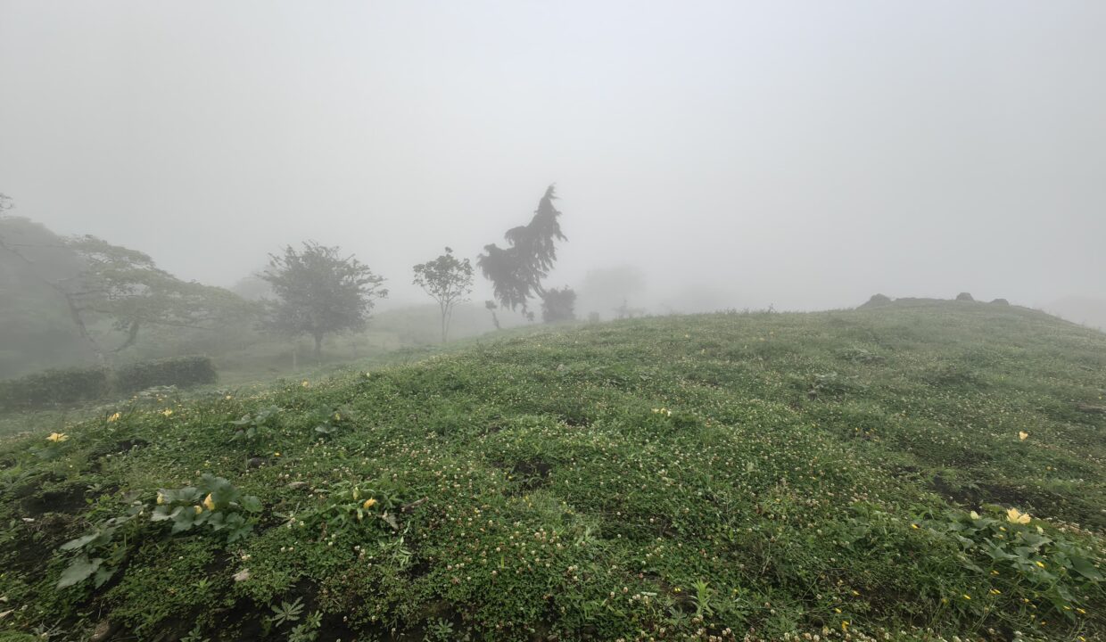 WhatsApp Image 2026-04-16 at 17.30.12