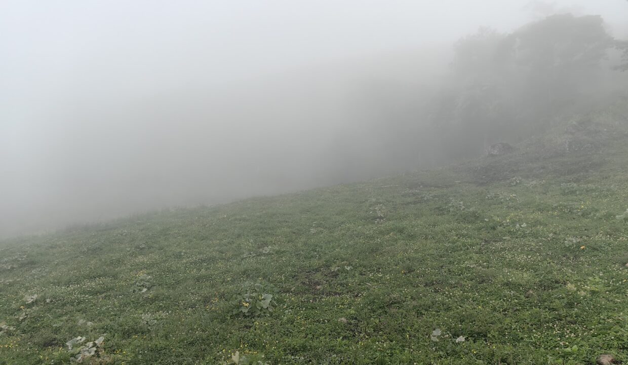 WhatsApp Image 2026-04-16 at 17.30.18 (1)