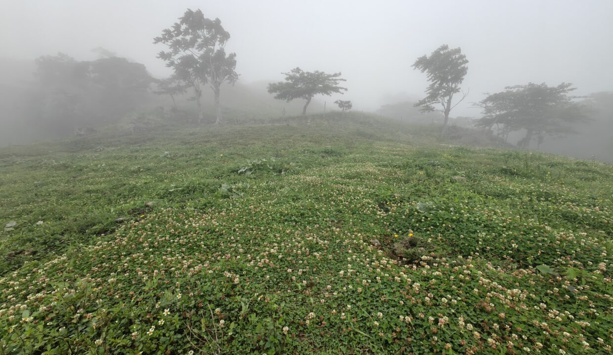 WhatsApp Image 2026-04-16 at 17.30.18 (3)