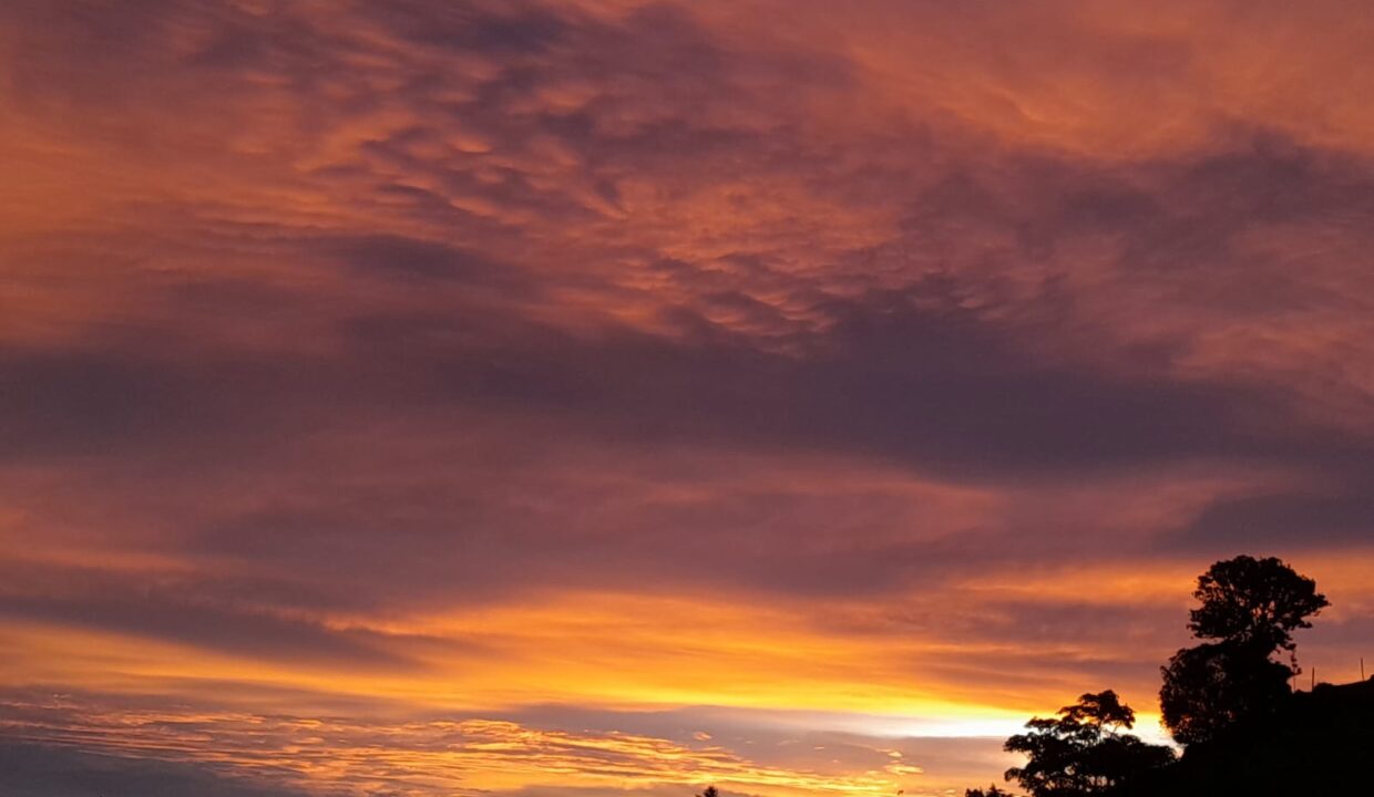 WhatsApp Image 2026-04-16 at 17.30.18 (4)