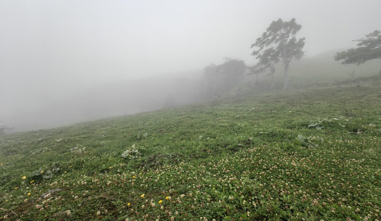 WhatsApp Image 2026-04-16 at 17.30.19