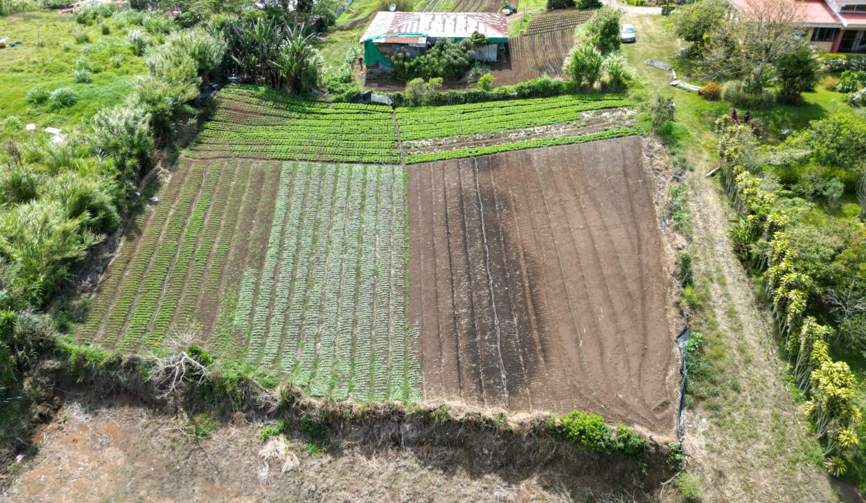 WhatsApp Image 2026-04-19 at 17.35.45