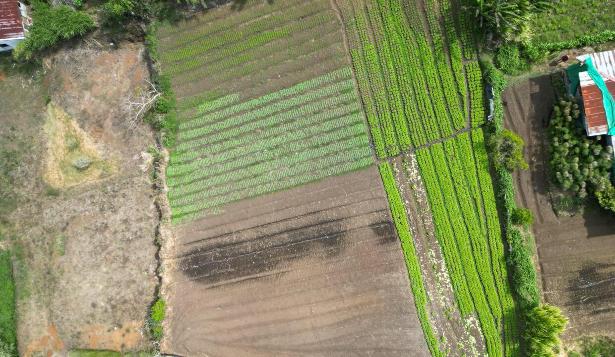 WhatsApp Image 2026-04-19 at 17.35.45 (2)