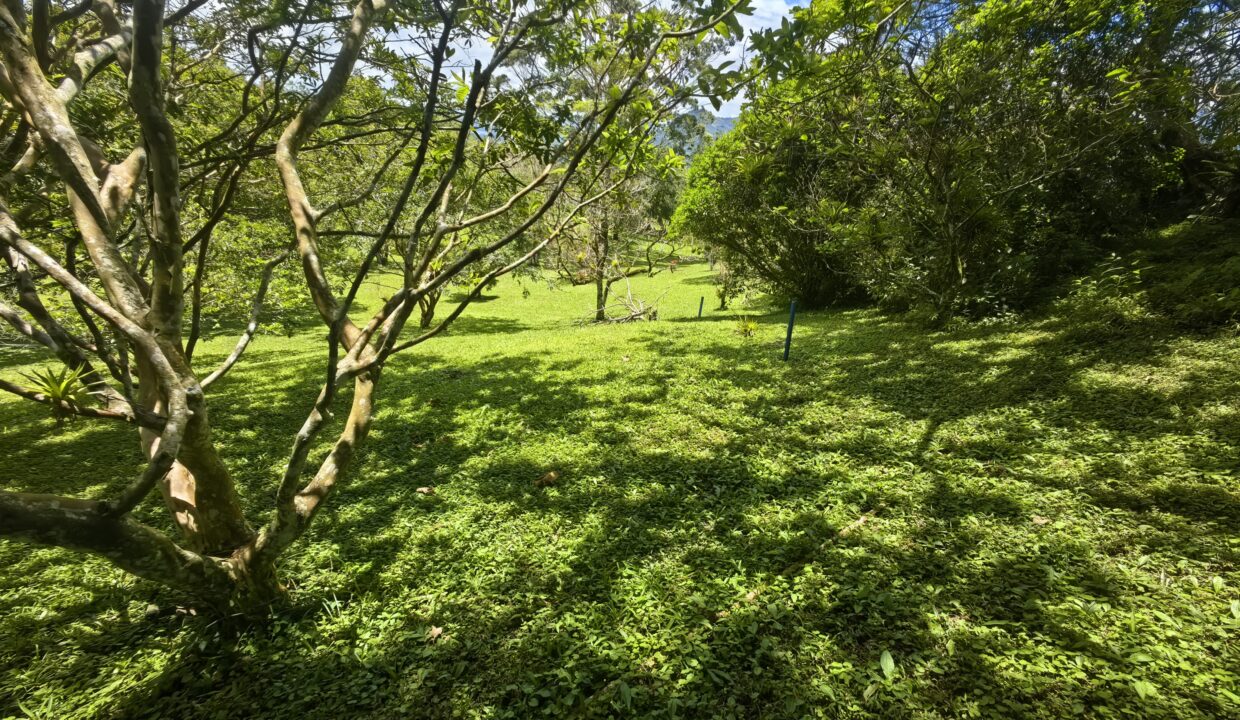 WhatsApp Image 2026-04-21 at 08.41.04