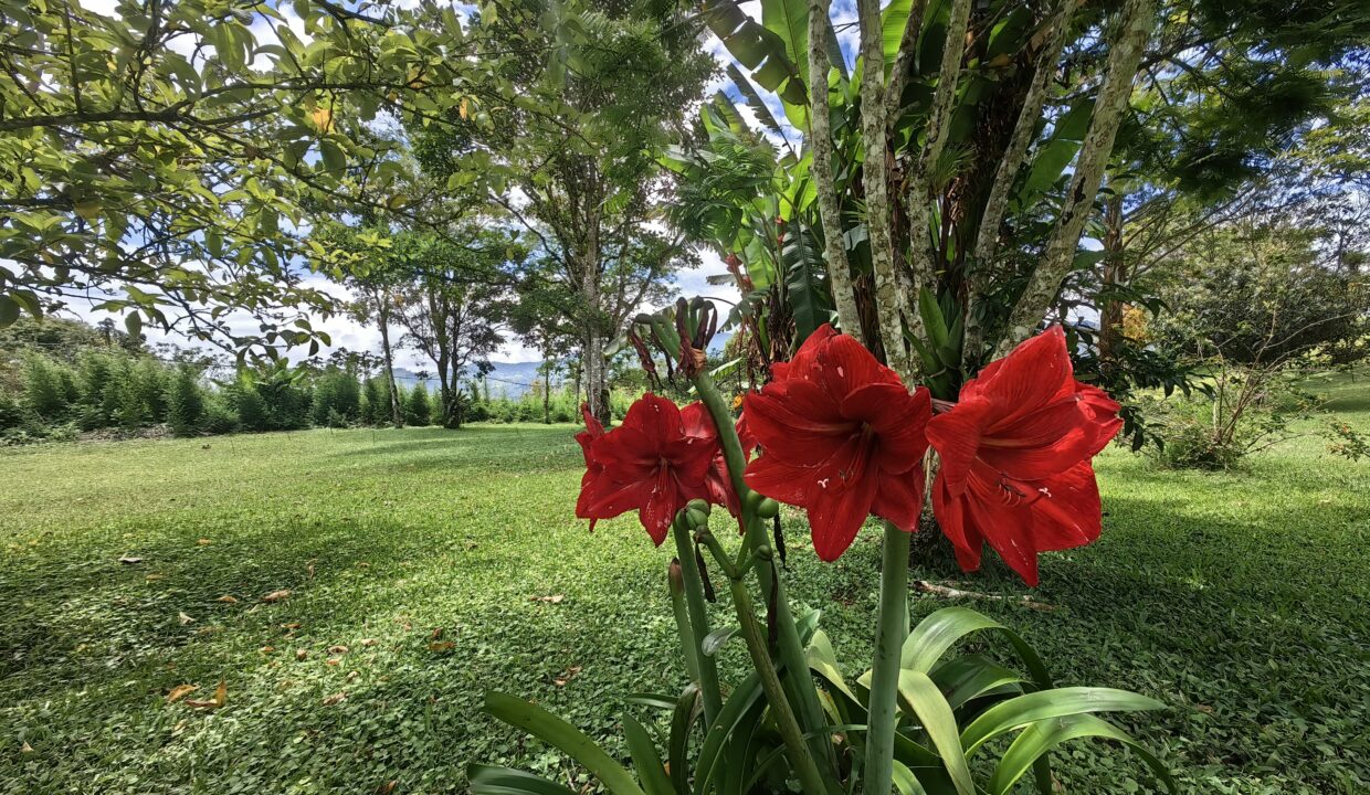 WhatsApp Image 2026-04-21 at 08.41.21