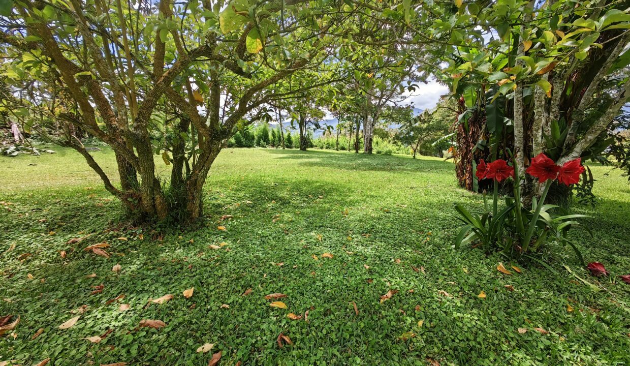 WhatsApp Image 2026-04-21 at 08.41.42