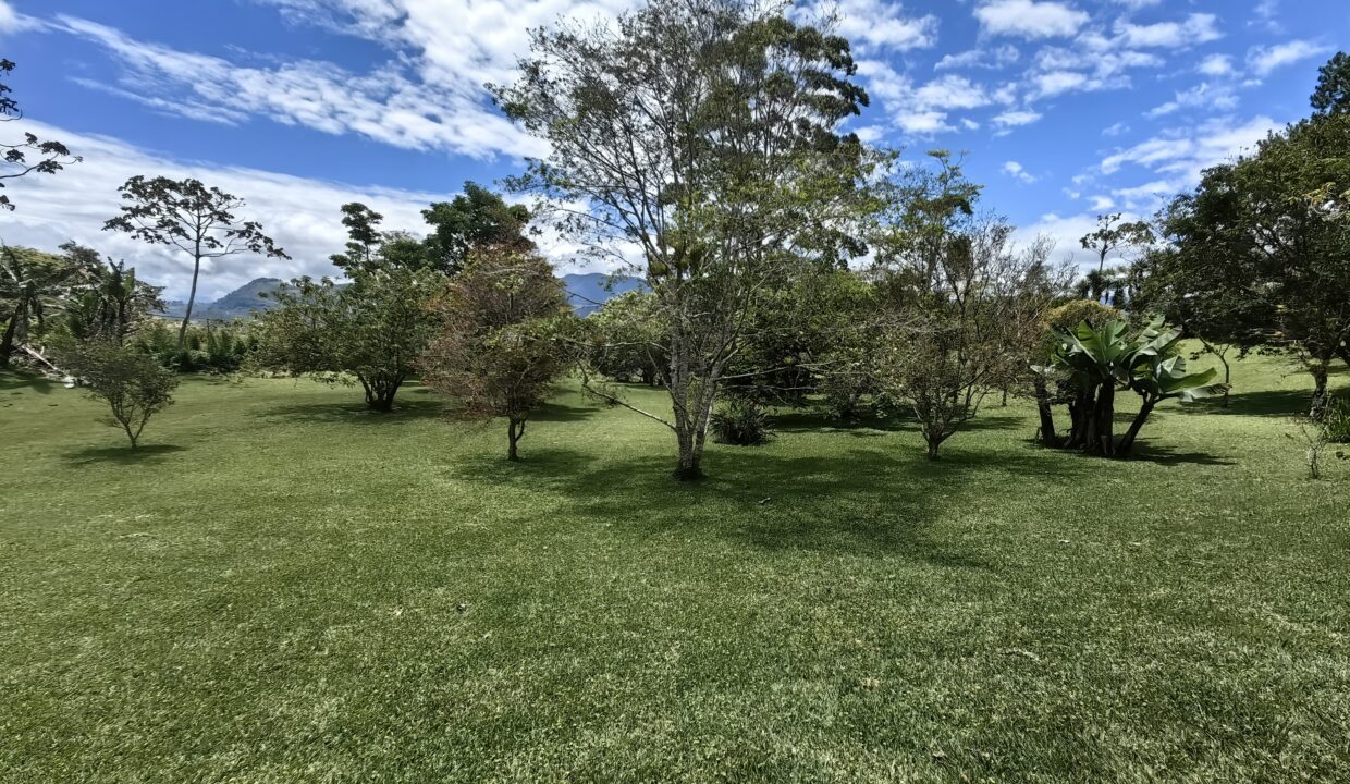 WhatsApp Image 2026-04-21 at 08.41.45