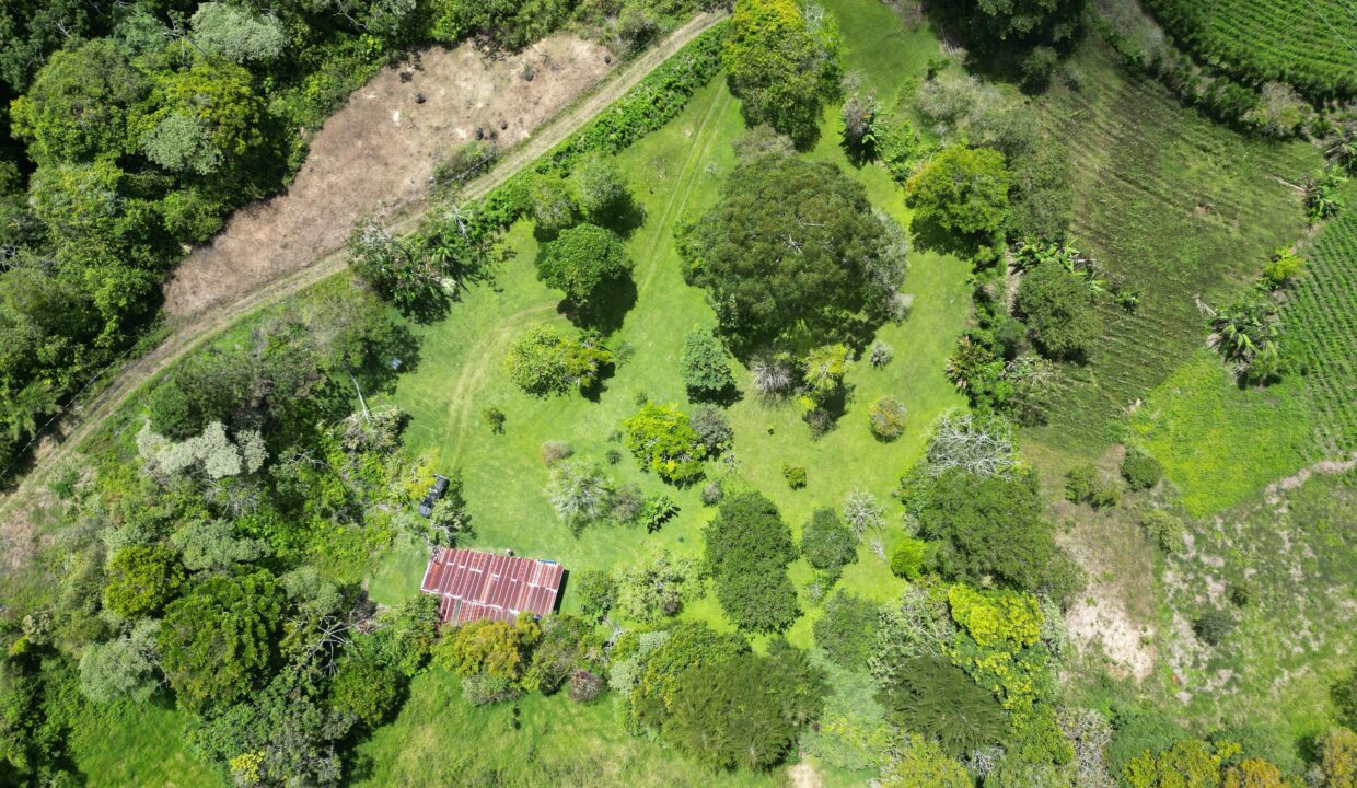 WhatsApp Image 2026-04-24 at 12.46.02