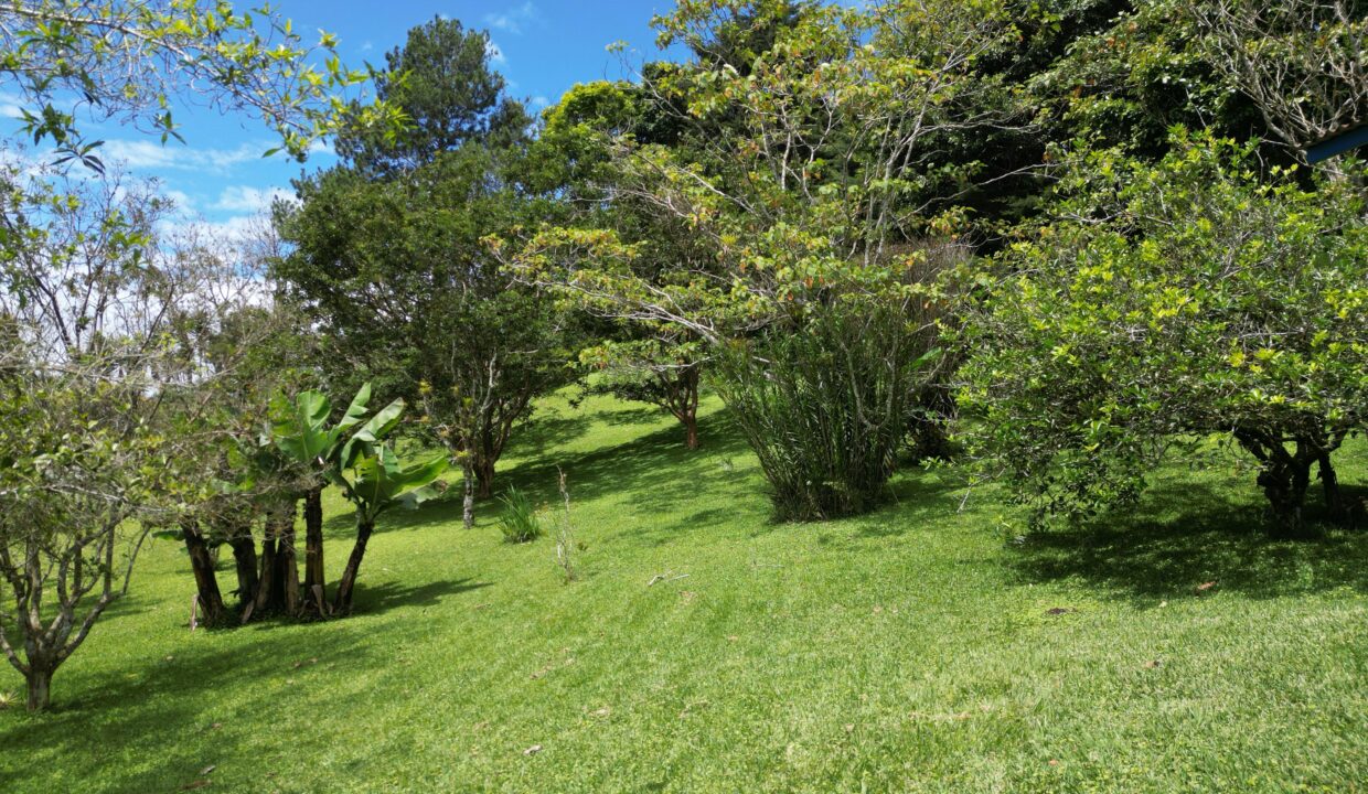 WhatsApp Image 2026-04-24 at 12.46.11