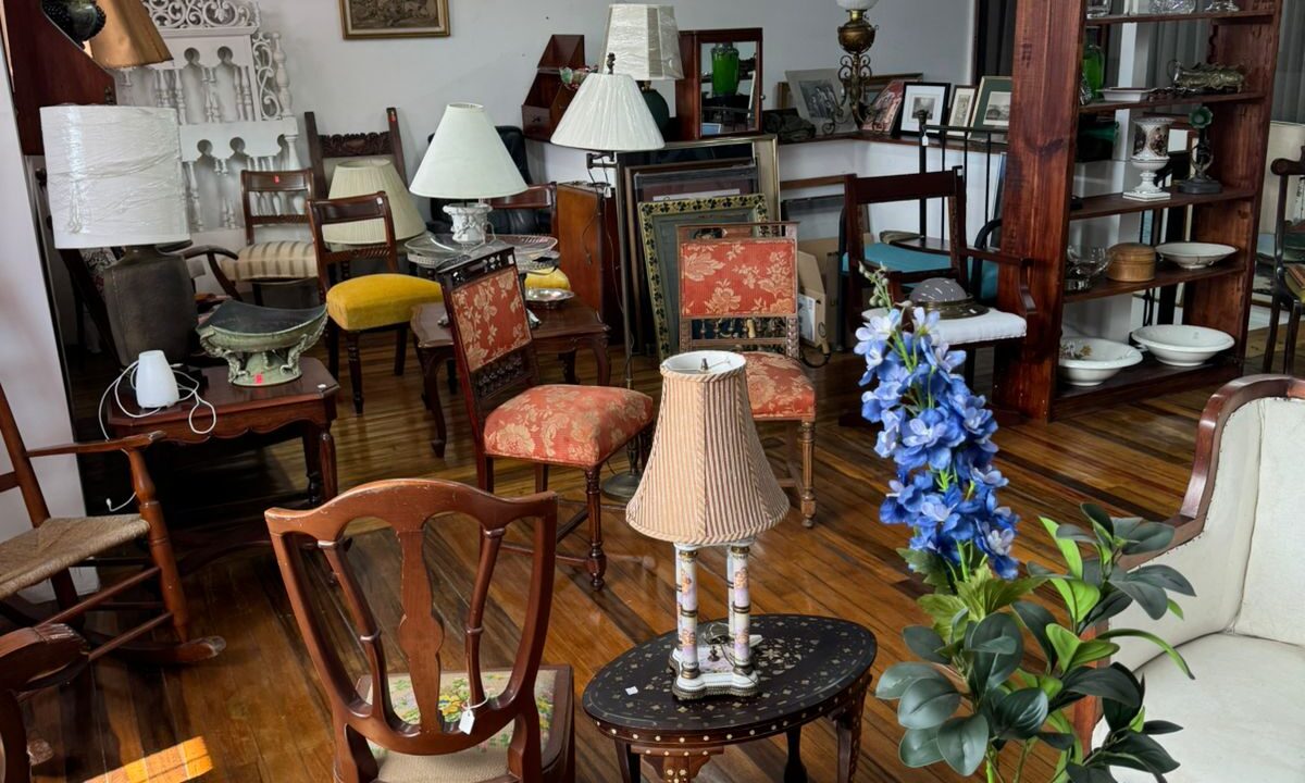 a40122ab-a6e5-4dcf-8fe4-08f69c51691e